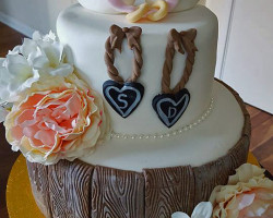 love-birds-engagement-cake by wedding cakes middlesbrough